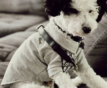 Load image into Gallery viewer, Pawcoste dog polo