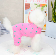 Load image into Gallery viewer, Sweetheart dog all in one