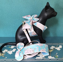 Load image into Gallery viewer, Oceania dog harness set