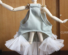 Load image into Gallery viewer, NEW Stella dog dress