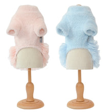 Load image into Gallery viewer, NEW Frill Teddy dog dress