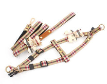 Load image into Gallery viewer, Teddy harness set