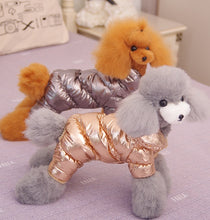 Load image into Gallery viewer, Waterproof D ring dog all in one