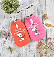 Load image into Gallery viewer, Wanted jacket