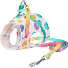 Load image into Gallery viewer, Dotty dog harness set