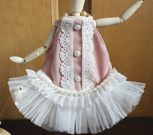 Load image into Gallery viewer, NEW Stella dog dress