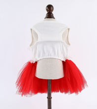 Load image into Gallery viewer, NEW Festive dog dress