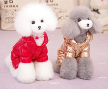 Load image into Gallery viewer, Waterproof D ring dog all in one