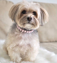 Load image into Gallery viewer, Triple Row Baguette Crystal Dog Collar