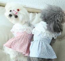 Load image into Gallery viewer, Little Star dog dress
