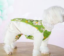 Load image into Gallery viewer, Daisy dog all in one