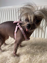 Load image into Gallery viewer, NEW Flower harness set