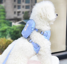 Load image into Gallery viewer, New Bunny Backpack harness