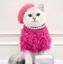 Load image into Gallery viewer, NEW Posh dog jumper