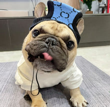 Load image into Gallery viewer, NEW Dog hat