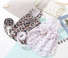 Load image into Gallery viewer, Wonderland dog dress set