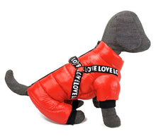 Load image into Gallery viewer, NEW LoVe harness all in one