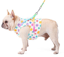 Load image into Gallery viewer, Dotty dog harness set