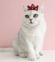 Load image into Gallery viewer, Pet Headband for Small Dogs