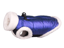 Load image into Gallery viewer, NEW Magic dog jacket