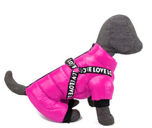 Load image into Gallery viewer, NEW LoVe harness all in one