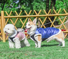 Load image into Gallery viewer, NEW Magic dog jacket