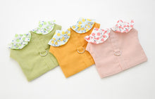 Load image into Gallery viewer, Fruit dog harness set