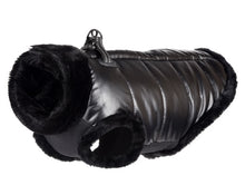 Load image into Gallery viewer, NEW Magic dog jacket