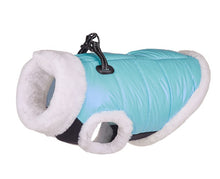 Load image into Gallery viewer, NEW Magic dog jacket