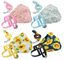 Load image into Gallery viewer, NEW Paradise pet harness set