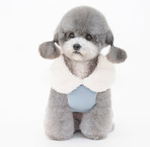 Load image into Gallery viewer, NEW Towner dog jacket