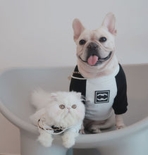 Load image into Gallery viewer, NEW CC dog jumper