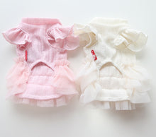 Load image into Gallery viewer, NEW Cute Flower pet dress