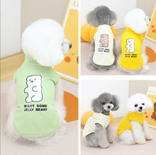 Load image into Gallery viewer, Jelly Bear dog top teddy