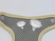 Load image into Gallery viewer, NEW Teddy dog harness set