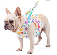 Load image into Gallery viewer, Dotty dog harness set