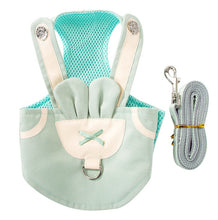 Load image into Gallery viewer, Amber Mint dog harness
