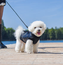 Load image into Gallery viewer, NEW Magic dog jacket
