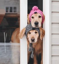 Load image into Gallery viewer, NEW Winter pet hat