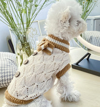 Load image into Gallery viewer, NEW Smarties dog jumper