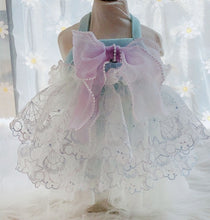 Load image into Gallery viewer, NEW Flora dog dress