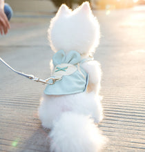 Load image into Gallery viewer, Amber Mint dog harness