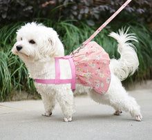 Load image into Gallery viewer, NEW Paradise pet harness set