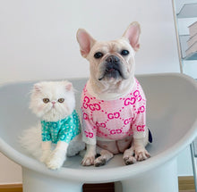 Load image into Gallery viewer, NEW GG dog jumper