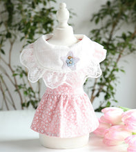 Load image into Gallery viewer, Little Star dog dress