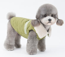 Load image into Gallery viewer, NEW Patrik dog jacket