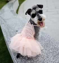 Load image into Gallery viewer, Florina pet dress