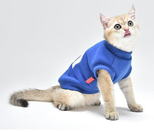 Load image into Gallery viewer, NEW The Face Dog