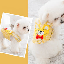 Load image into Gallery viewer, Teddy dog harness
