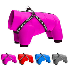 Load image into Gallery viewer, NEW LoVe harness all in one